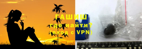 твердый Долгопрудный
